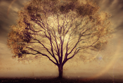 {Photo via 25-media.tumblr.com}