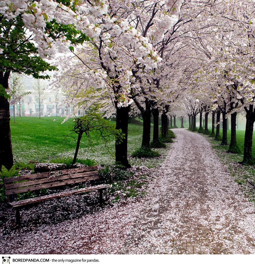 ~ Photo: Thomas Lloyd Qualls ~