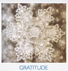 {Water crystals photographed after expressing gratitude}