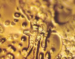 {Water crystals photographed after saying 'You Disgust Me'}