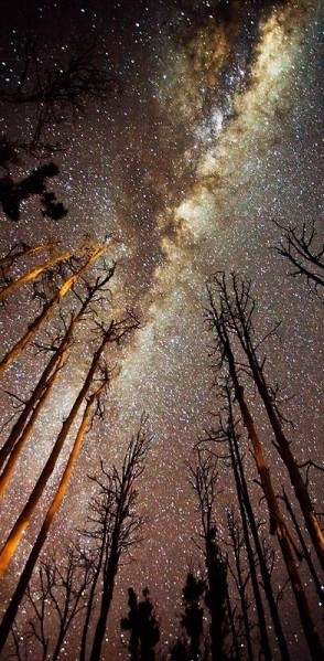 {Photo: pinterest.com}