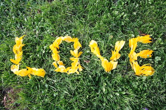 {Photo via fineartamerica.com}