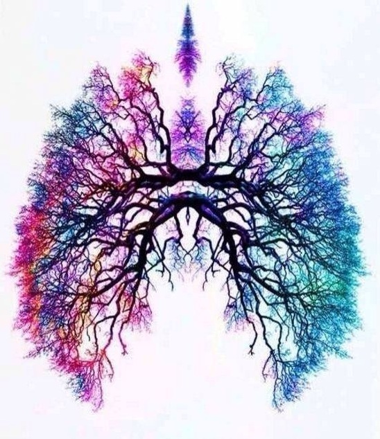 {Image via Pinterest}