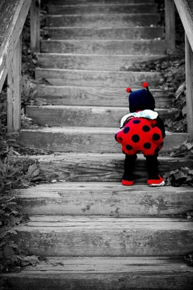 {Photo via Pinterest}