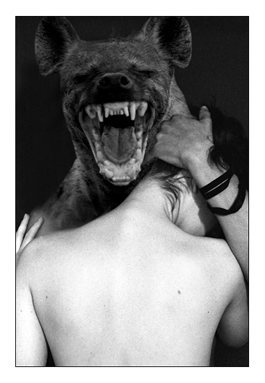 Photo credit: rent-a-moose / Foter / CC BY-NC-SA