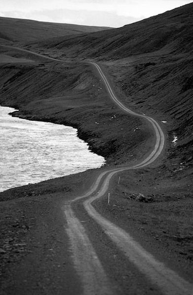 {Photo via Pinterest}